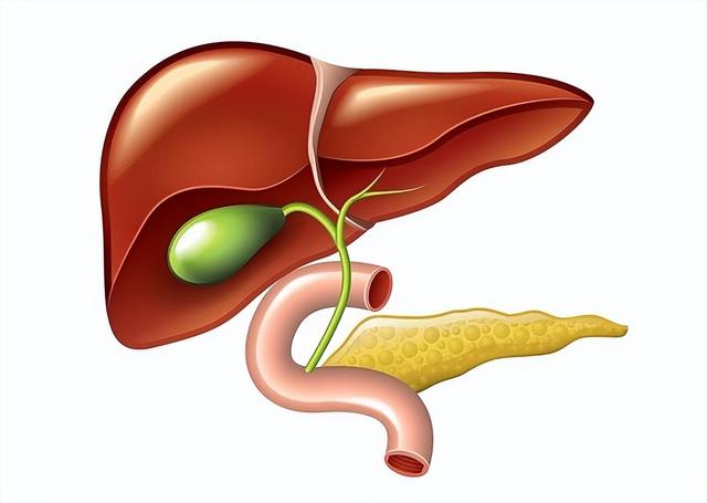 南瓜再次被关注！医生发现：胰腺炎患者吃南瓜时，一定留心这6点