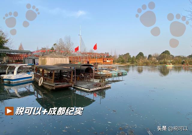 到温江幸福田园郊游，看乡村湿地美景，火车主题餐厅让人怀旧