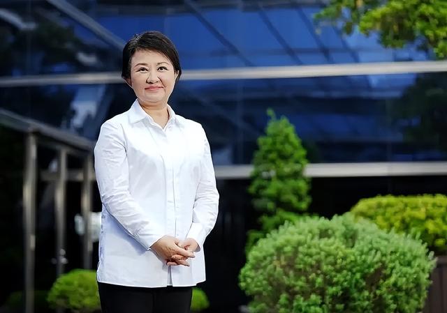 国民党主席选举杀出“黑马”，洪秀柱一锤定音，谋求两岸统一