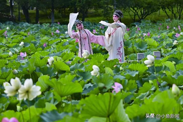 苏州当选“东亚文化之都”！