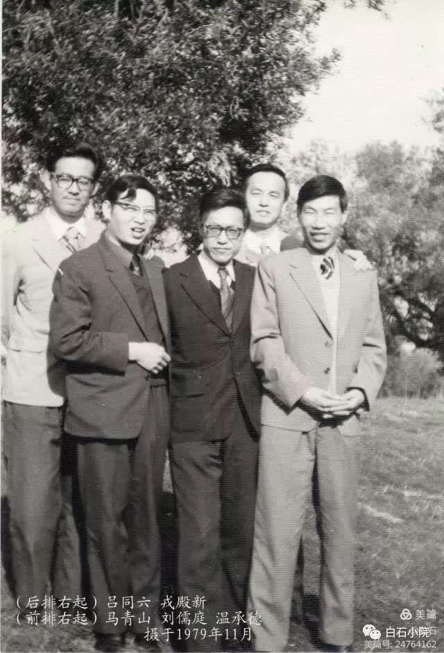卡拉布里亚大学的松树