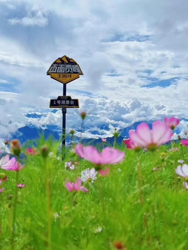 高温速逃指南！连续一周“全勤打卡”日照金山+星空银河！