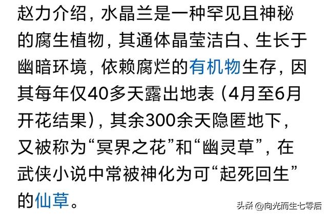 哀牢山发现7株冥界之花