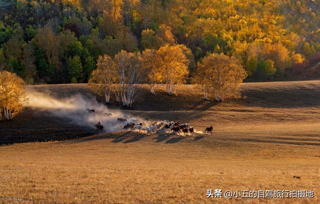 9 地秋日赏秋实测攻略！附最佳时间 + 落地玩法，收藏直接走