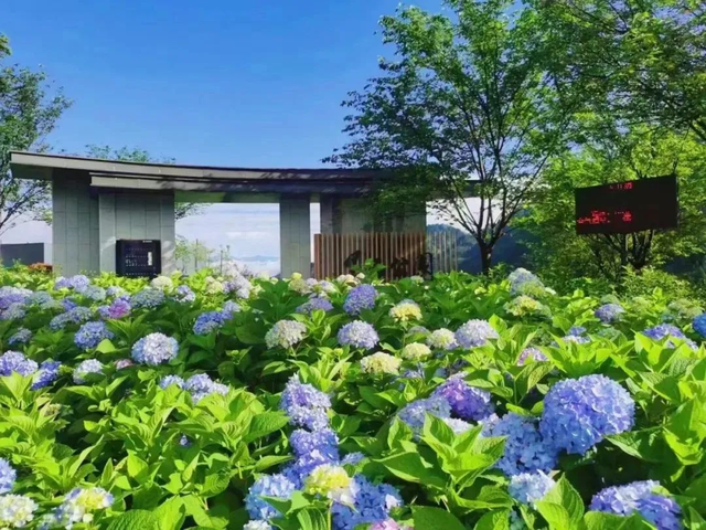 遛娃宝藏地 | 亲子游可以去哪？荥经帮你安排！