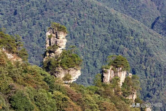 镜头中的山水：寻梦张家界 醉心山水间