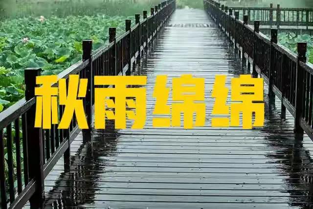 今年处暑撞上七月初一，老辈人说"要变天"？这波操作得看明白
