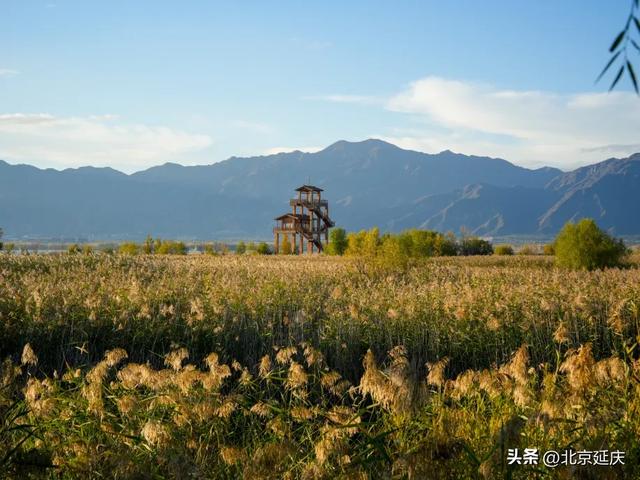 深度游延庆!“租车+”超全路线酷炫来袭