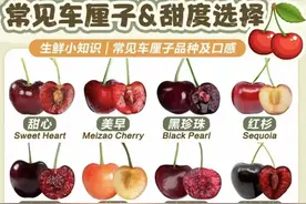 常见的车厘子品种及口感，建议收藏!图片