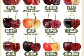 常见的车厘子品种及口感，建议收藏!图片