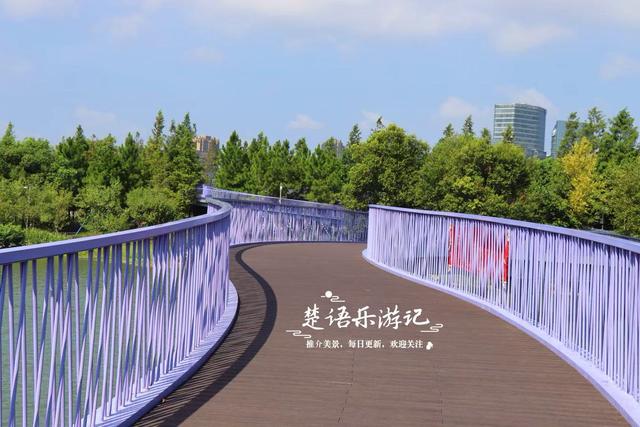 浙江宁波的新公园，马鞭草花不开的时候也很美，烟紫网红桥很出圈