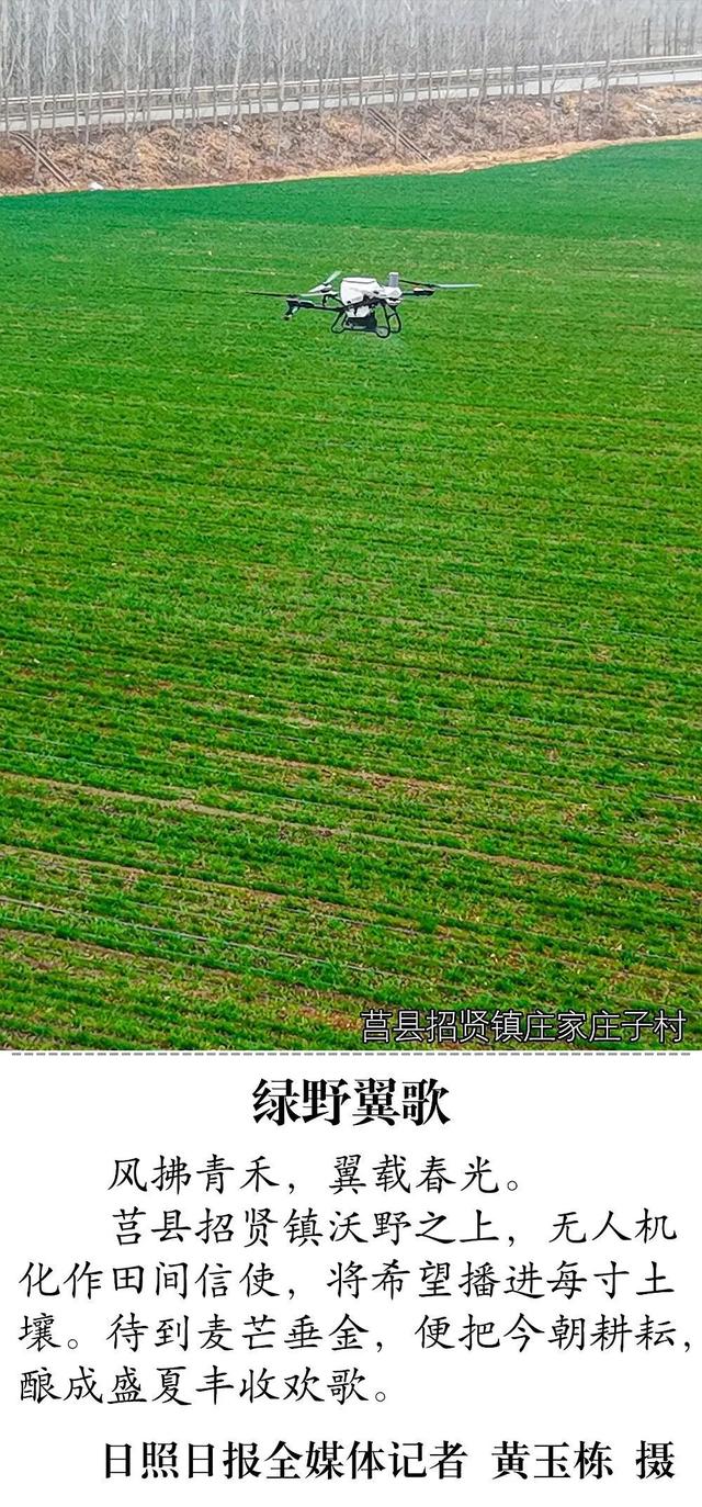 被拍到了！日照这些地方大变样→