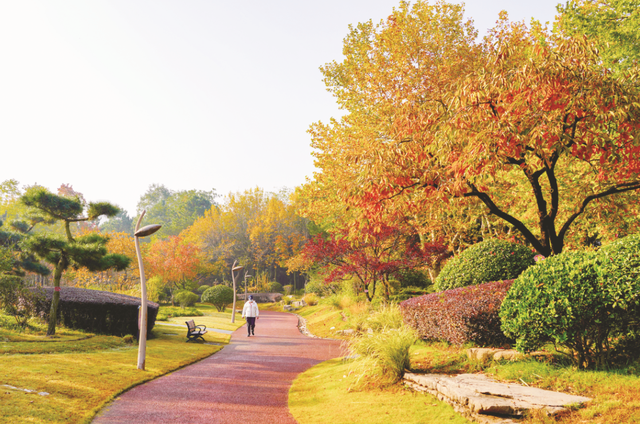 日照秋韵 一笺诗意入画来