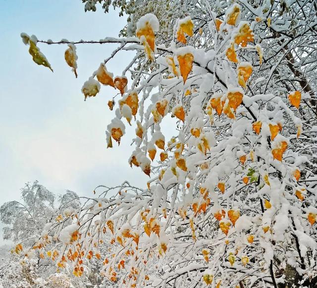 松坪沟景区免门票啦！