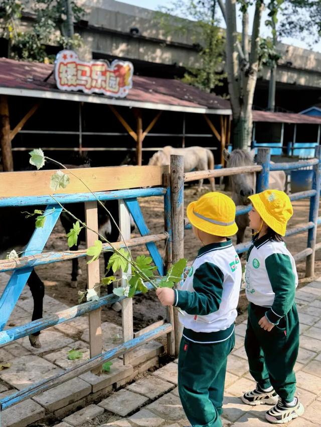 太原市小店区：国庆采摘“果”然嗨 来小店收获你的专属甜蜜！