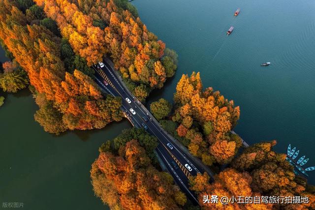 苏杭 4 天赏秋实测攻略！红枫 / 桂香 / 芦花全吃透，每天都在古画里逛