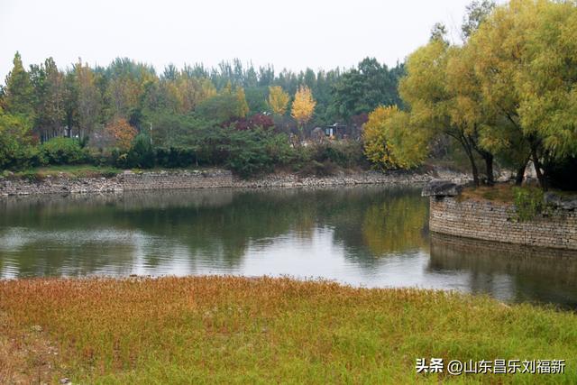 小丹河(老坝河水库西段)立冬那天的风光