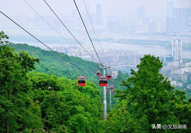 会玩的长沙人，都在这些地方过秋天