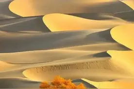 人生16大快乐（多巴胺值）图片