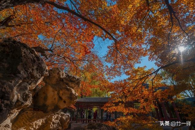 Deepseek和百度AI共同推荐北京红叶区：到北京旅游至少要去三个。