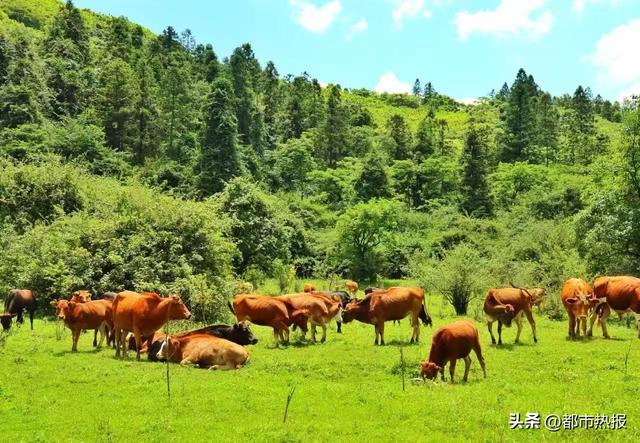 厢遇耍市丨城市徒步、穿越森林、欢乐匹克球 多重体验等你来探