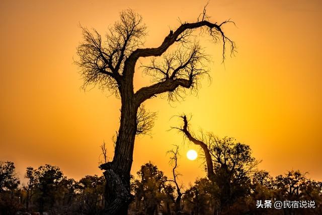“中国最美公路”没有之一，你知道是哪里？
