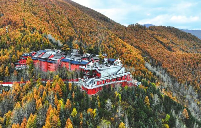 台山秋色惹人醉