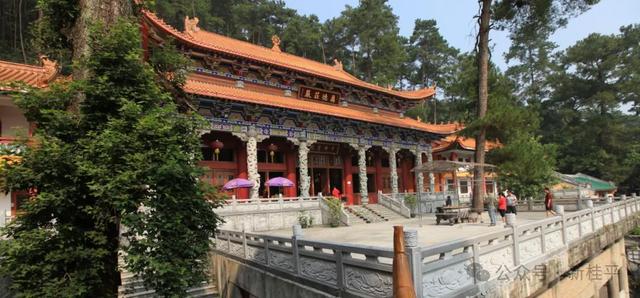 桂平半程马拉松选手看过来！文旅福利已就位，三大景点等你打卡～