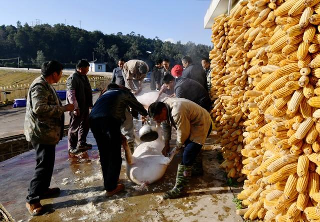 今年冬天是暖冬还是冷冬？雪大不大？答案来了