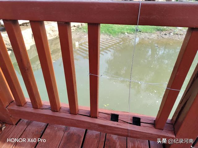全国文明城市柘城县国家湿地公园榕湖斥巨资升级的人行栈道现状