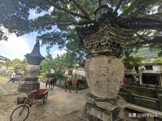 浙山浙水：玉苍山下的大宋流风