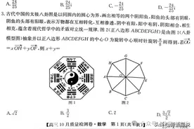 2025届高三九省联考数学试卷及解析图片