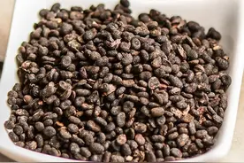 小小韭菜籽，你的作用可真好，让“爷们”喜欢不已图片