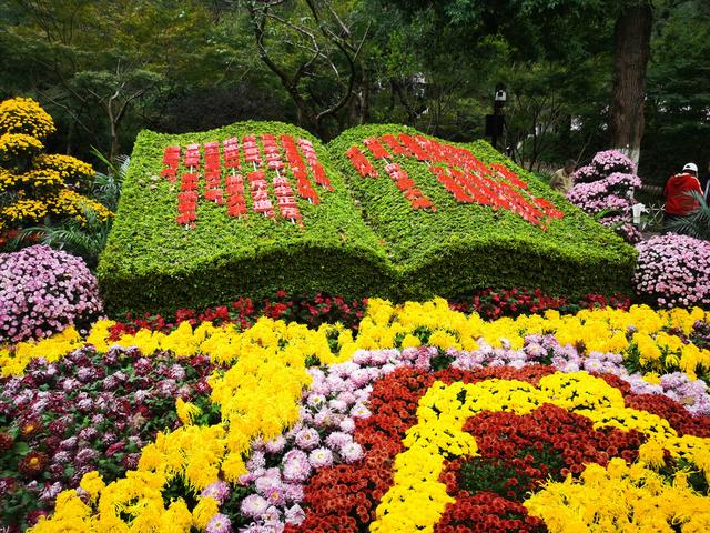 从爱晚亭捡来一枚红叶