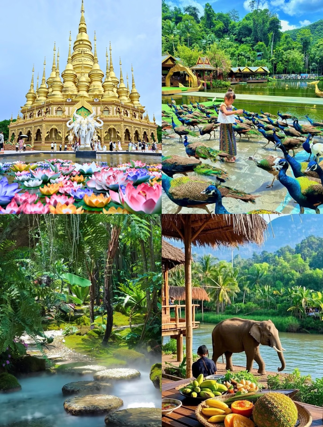 西安直飞丨8个暖冬城市丨避冬、遛娃、拍照、度假好去处推荐