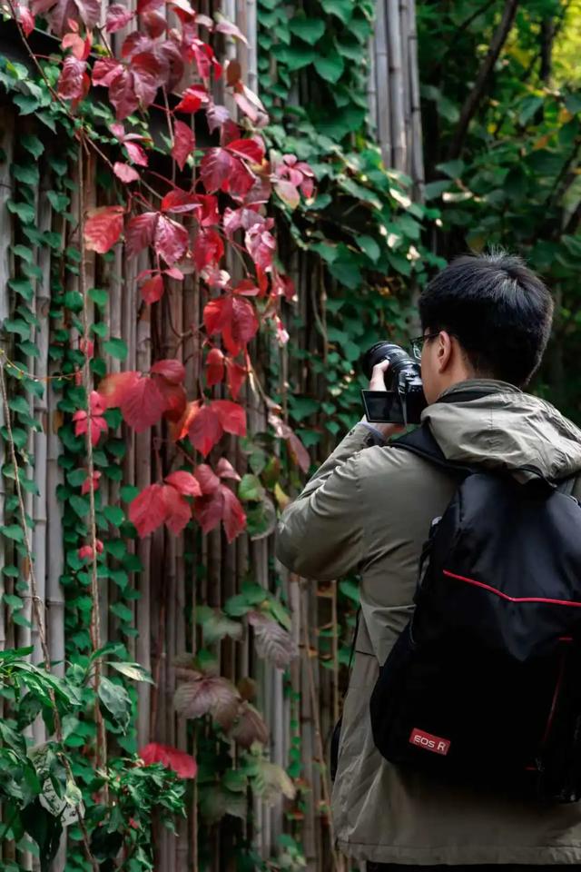 你会怀念这个秋天吗？