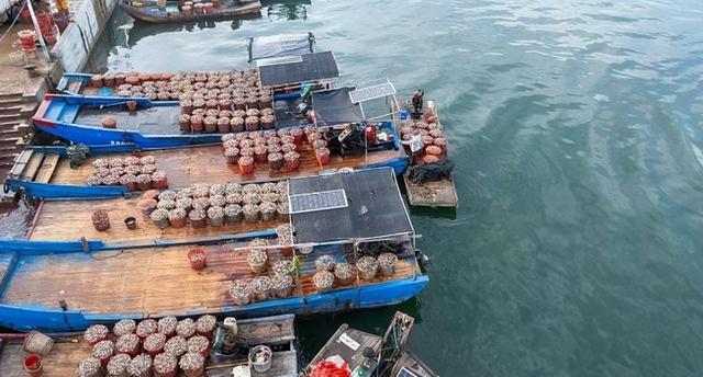 高市早苗紧急搬救兵，中国开始清点在日公民	，传递了什么信号？