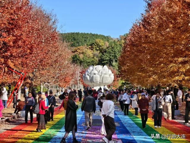 色彩峰值~走进横山公园“枫”景大片！