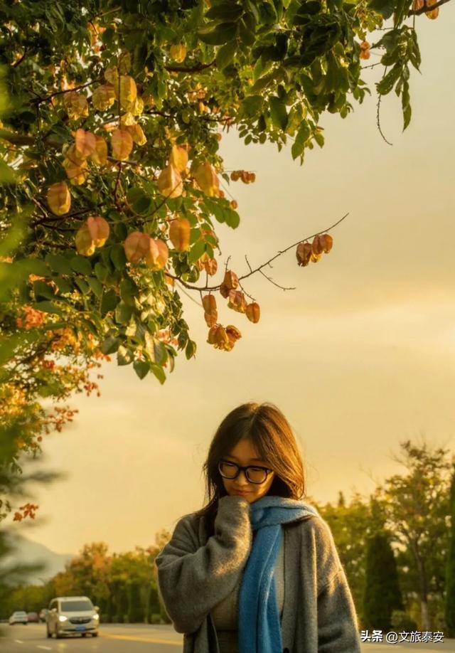 从栾树到彩林，每一步都是心动！新甫山向你发出赏秋邀请函~