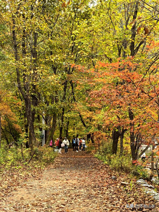 2025辽宁赏秋之旅日记(2)——游览丹东蒲石河森林公园