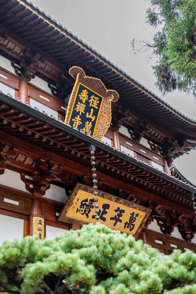 从良渚文明到未来科创，跟着达人开启时空穿越之旅！