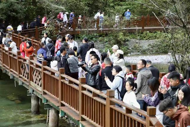 宕昌县：“党建+旅游”赋能景区高质量发展