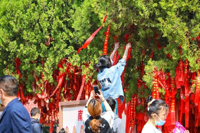 高铁直达！南山福利已就位，这就出发～
