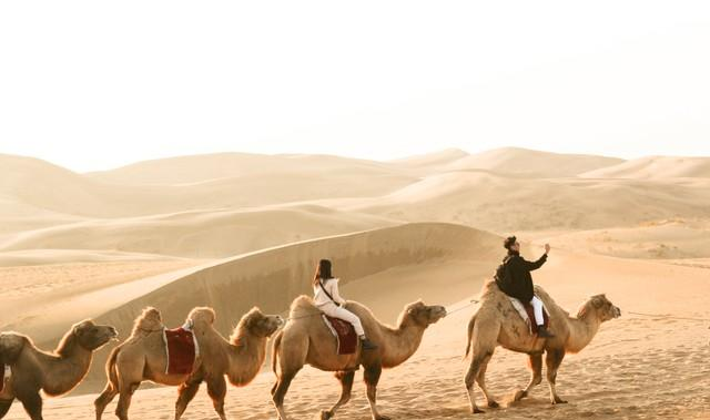 西安人去了兰州和银川，直言不讳：兰州人和银川人气质截然不同！