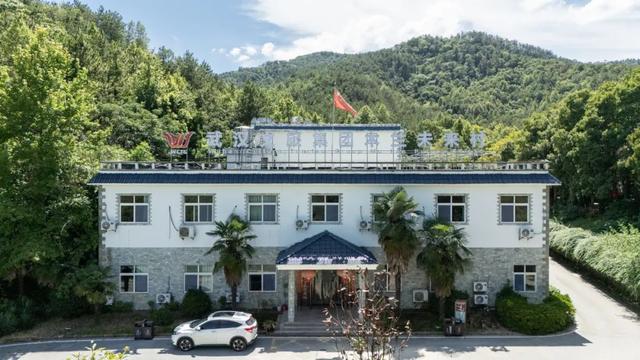 遇鹿山庄：与鹿同栖，住进李白诗中的「星野山居」