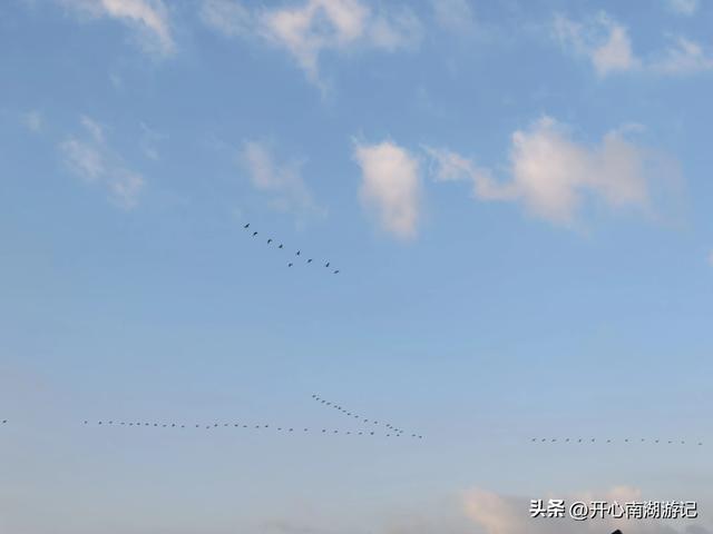 走，去渤海湾看候鸟…
