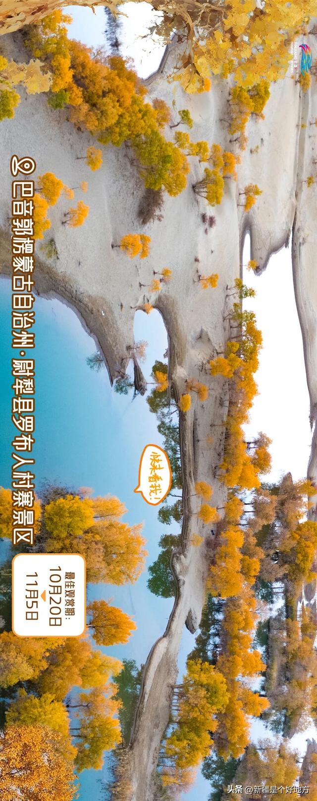 新疆赏胡杨最全攻略
