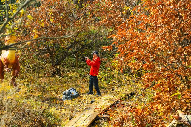 泗水县万紫千红旅游区：静谧而斑斓的生态画卷
