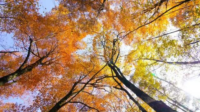 汉中赏秋观景，直通车来了