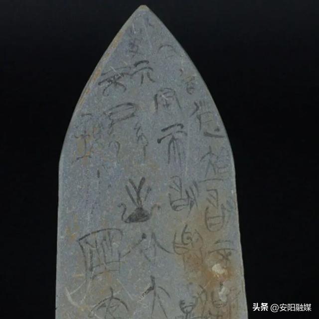 有文化 必安阳丨博物馆里的“显眼包”之中国文字博物馆！互动有礼→